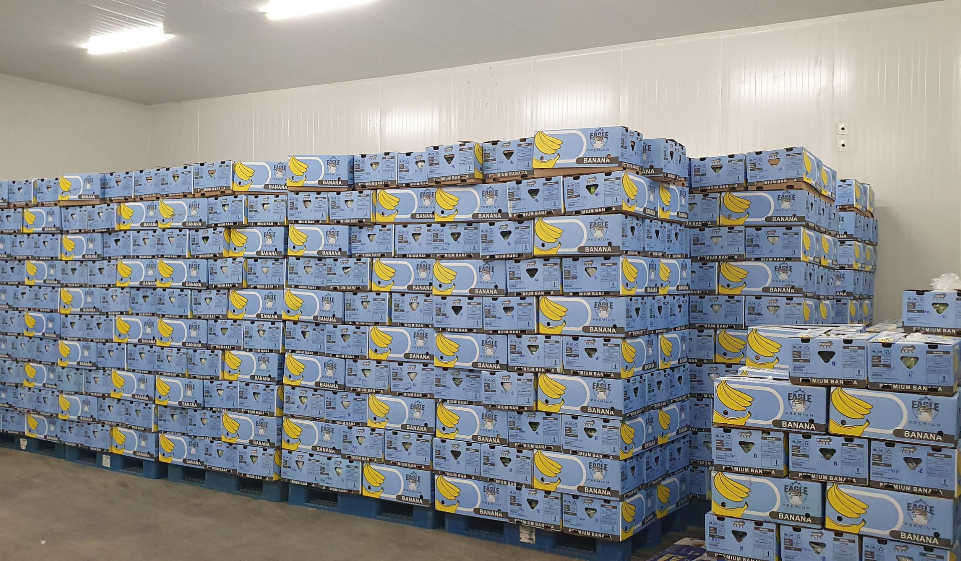 Modern Cold Storage Facility